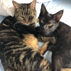 Meet your Posher, Tatiana